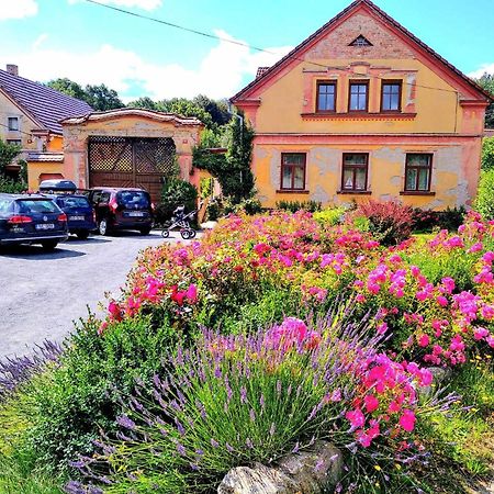 Apartmany Kosov 2 Bor Bagian luar foto