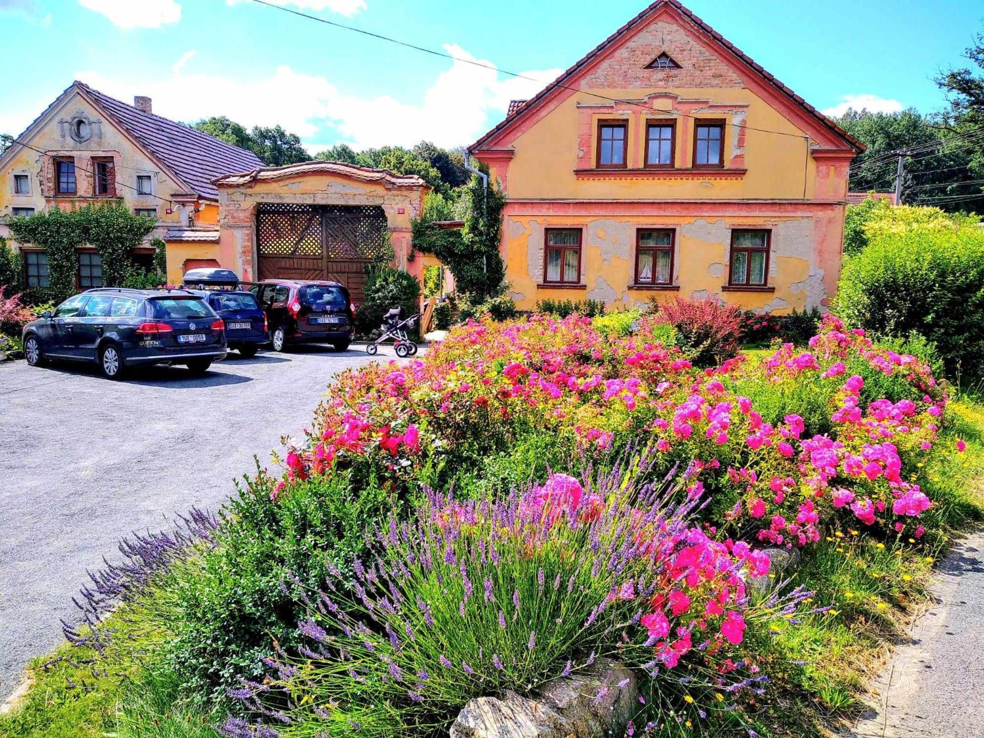 Apartmany Kosov 2 Bor Bagian luar foto
